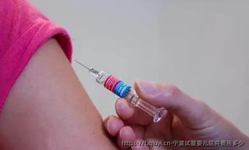 宁波试管婴儿总共费用多少