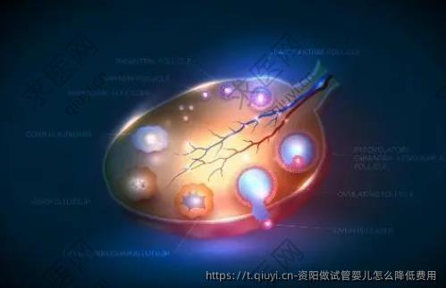 资阳做试管婴儿怎么降低费用