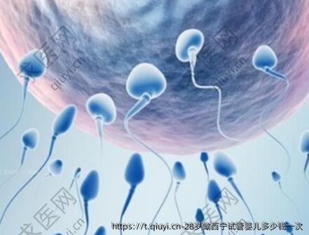 28岁做西宁试管婴儿多少钱一次