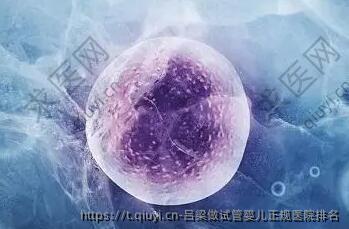 吕梁做试管婴儿正规医院排名
