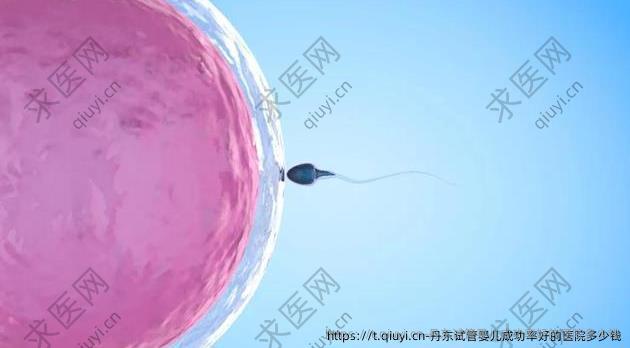 丹东试管婴儿成功率好的医院多少钱