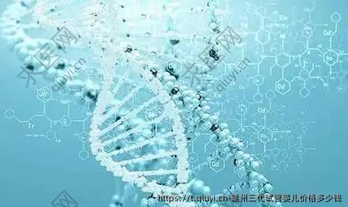 赣州三代试管婴儿价格多少钱