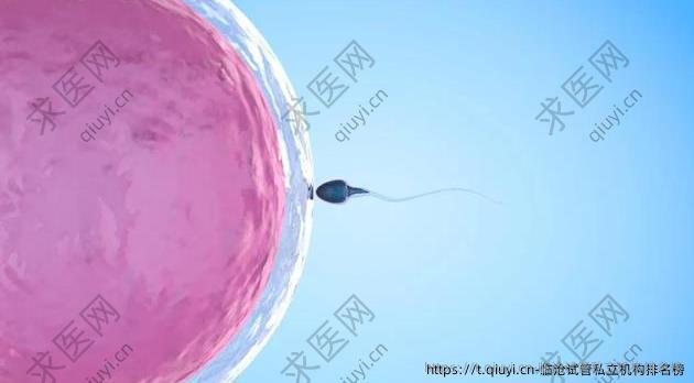 临沧试管私立机构排名榜