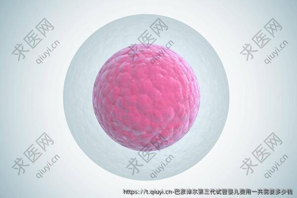 巴彦淖尔第三代试管婴儿费用一共需要多少钱