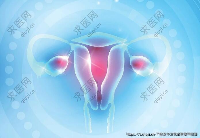 了解汉中三代试管费用明细