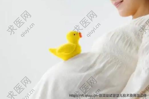普洱做试管婴儿技术费用怎么样