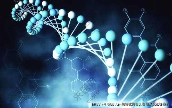 来宾试管婴儿费用是怎么计算的