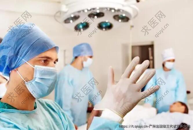 广州出国做三代试管多少钱