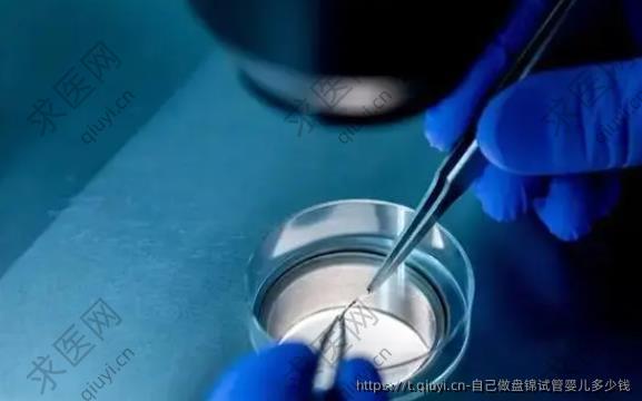 自己做盘锦试管婴儿多少钱