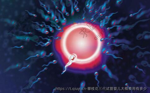 攀枝花三代试管婴儿大概费用有多少