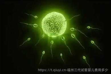 福州三代试管婴儿费用多少