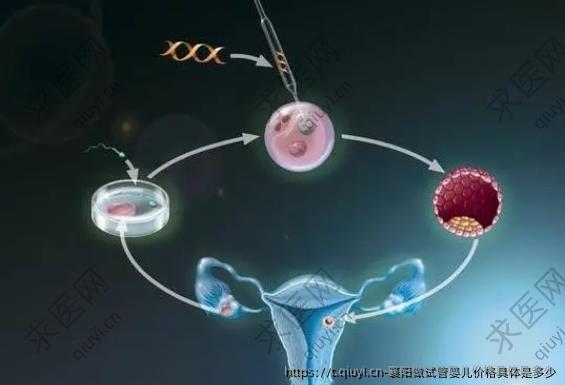 襄阳做试管婴儿价格具体是多少