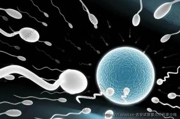吉安试管婴儿三代多少钱