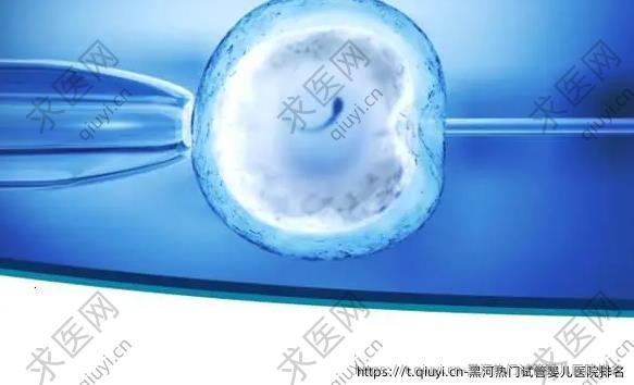 黑河热门试管婴儿医院排名
