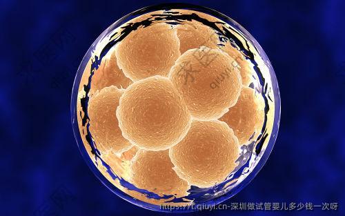 深圳做试管婴儿多少钱一次呀