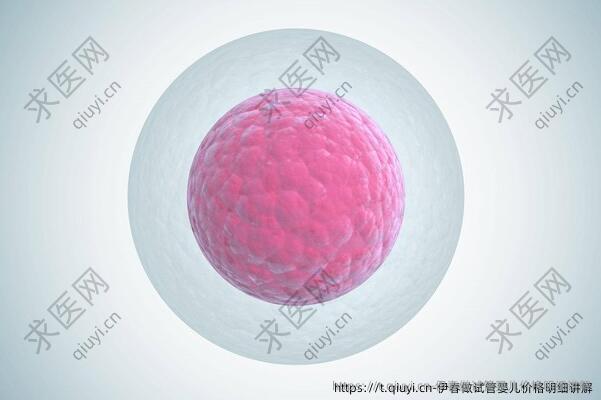 伊春做试管婴儿价格明细讲解
