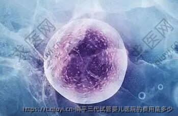 南平三代试管婴儿医院的费用是多少