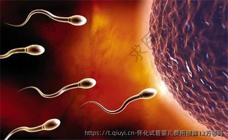 怀化试管婴儿费用预算12万够吗