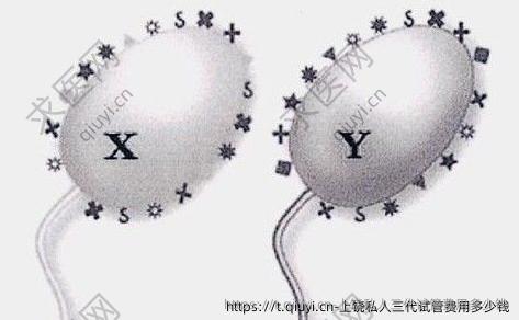上饶私人三代试管费用多少钱