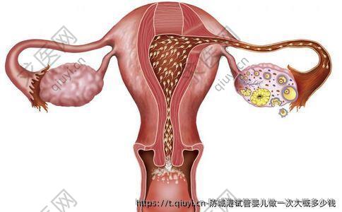 防城港试管婴儿做一次大概多少钱