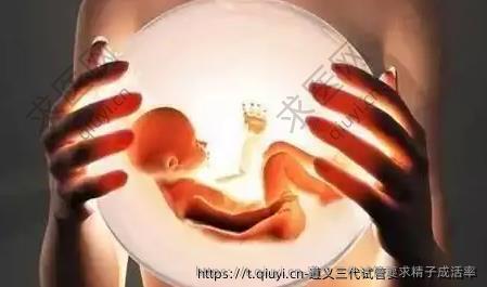 遵义三代试管要求精子成活率