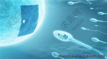 去漳州第三代试管