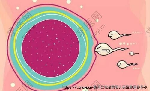 惠州三代试管婴儿医院费用是多少