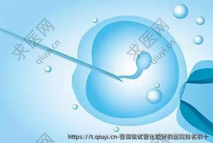 普洱做试管比较好的医院排名前十
