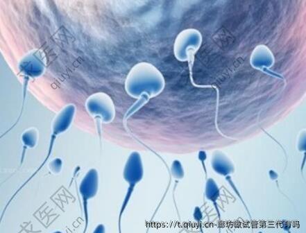 廊坊做试管第三代有吗