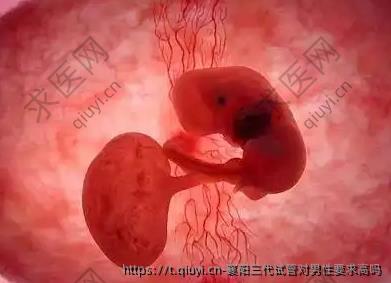 襄阳三代试管对男性要求高吗