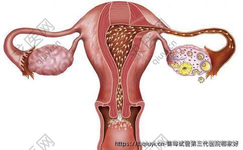 蚌埠试管第三代医院哪家好