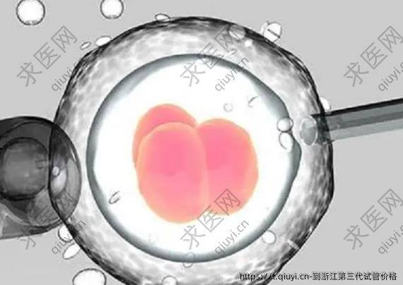 到浙江第三代试管价格