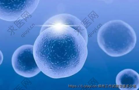 郑州三代试管筛要多少钱