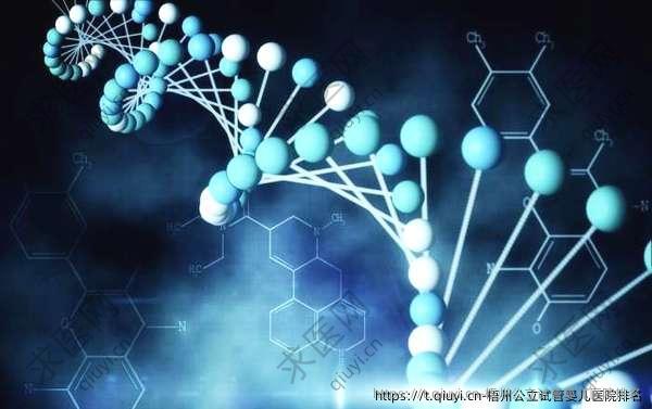 梧州公立试管婴儿医院排名
