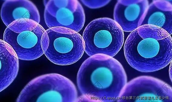 邢台第三代试管婴儿是多少钱
