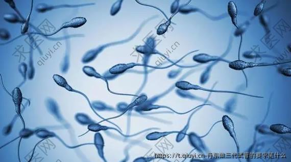 丹东做三代试管的要求是什么
