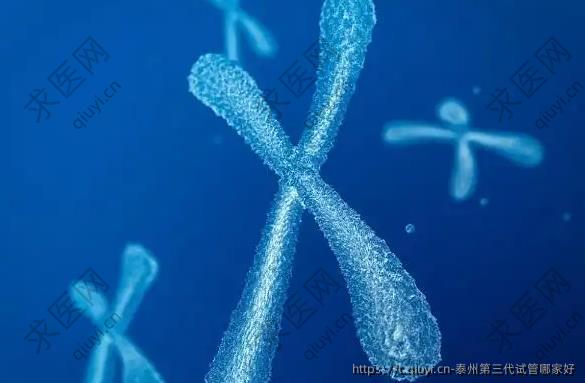 泰州第三代试管哪家好