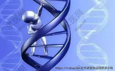 三代试管白山同济多少钱