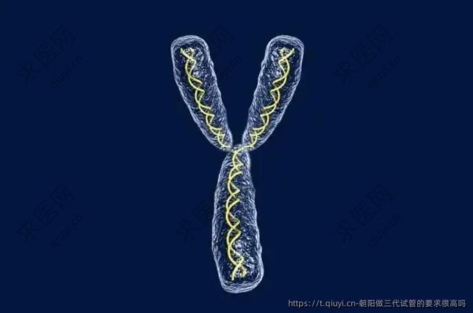 朝阳做三代试管的要求很高吗