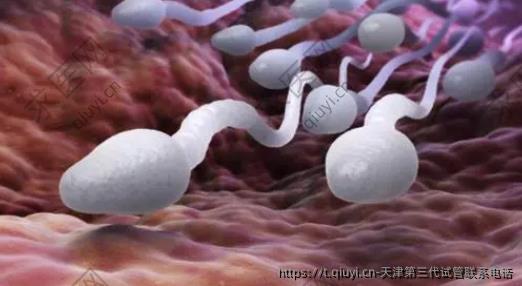 天津第三代试管联系电话