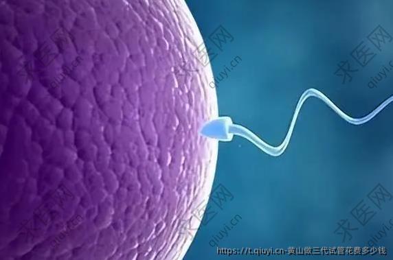 黄山做三代试管花费多少钱