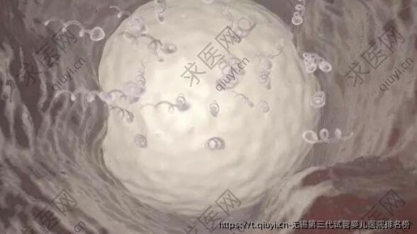 无锡第三代试管婴儿医院排名榜