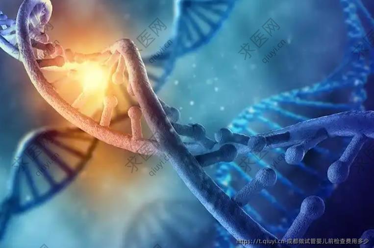 成都做试管婴儿前检查费用多少
