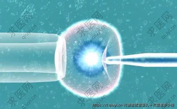 河源做试管婴儿一次需要多少钱