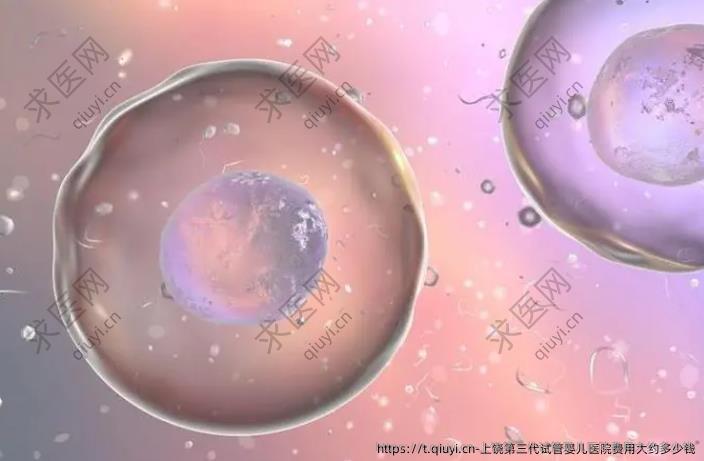 上饶第三代试管婴儿医院费用大约多少钱