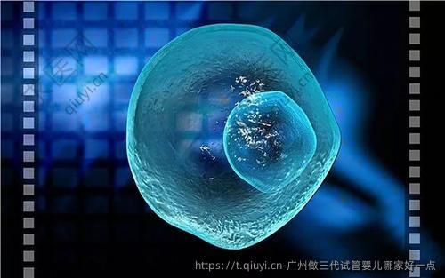 广州做三代试管婴儿哪家好一点