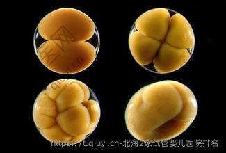 北海2家试管婴儿医院排名