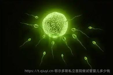 鄂尔多斯私立医院做试管婴儿多少钱