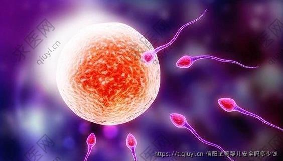 信阳试管婴儿安全吗多少钱