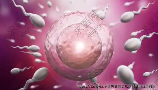 重庆试管婴儿医院费用清单有吗